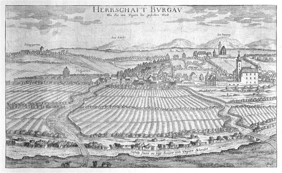 Vischer - Topographia Ducatus Stiria - 031 Burgau