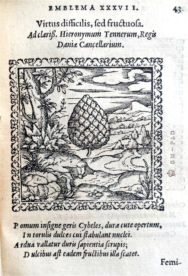 Virtus difficilis, sed fructuosa (BM 1972,U.11.37)