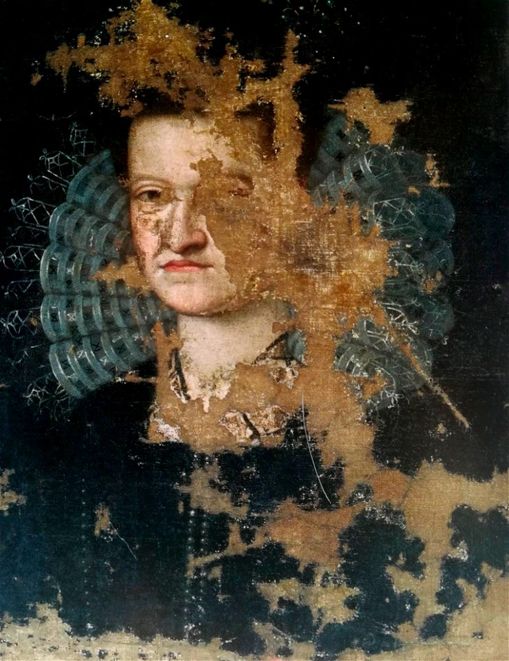 Virginia de Medici1
