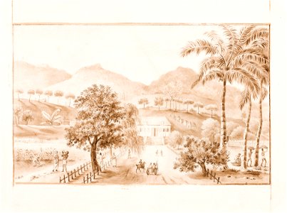 Vista da Fazenda Pombal, Colônia Leopoldina, Bahia, da Coleção Brasiliana Iconográfica