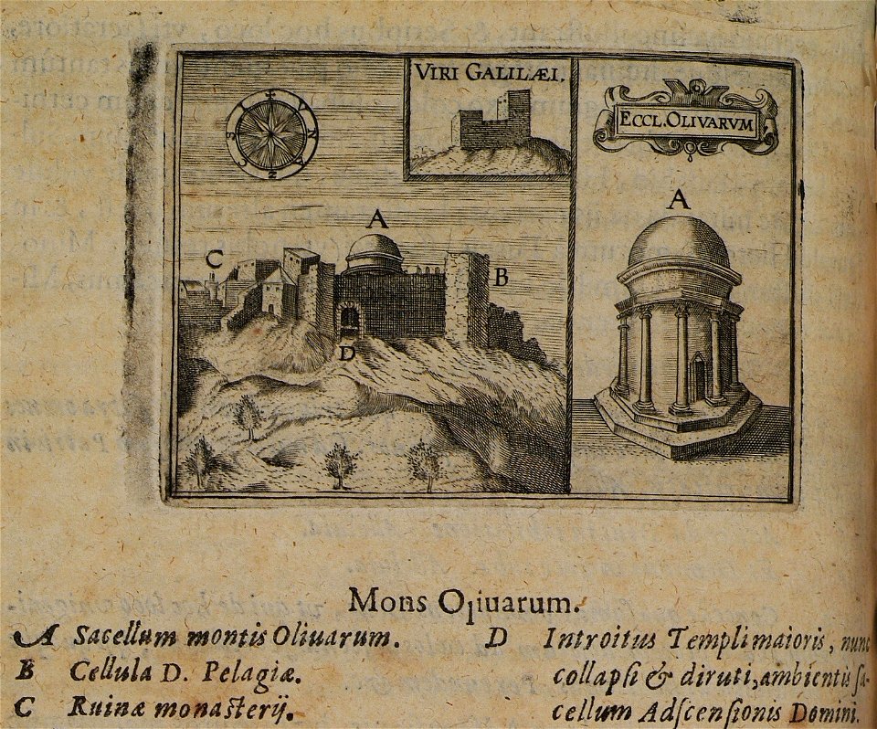 Viri Galilaei – Eccl Olivarum - Cootwijck Johannes Van - 1619