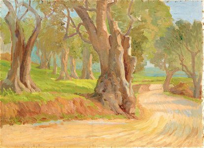 Virginia Tomescu Scrocco Olivenhain