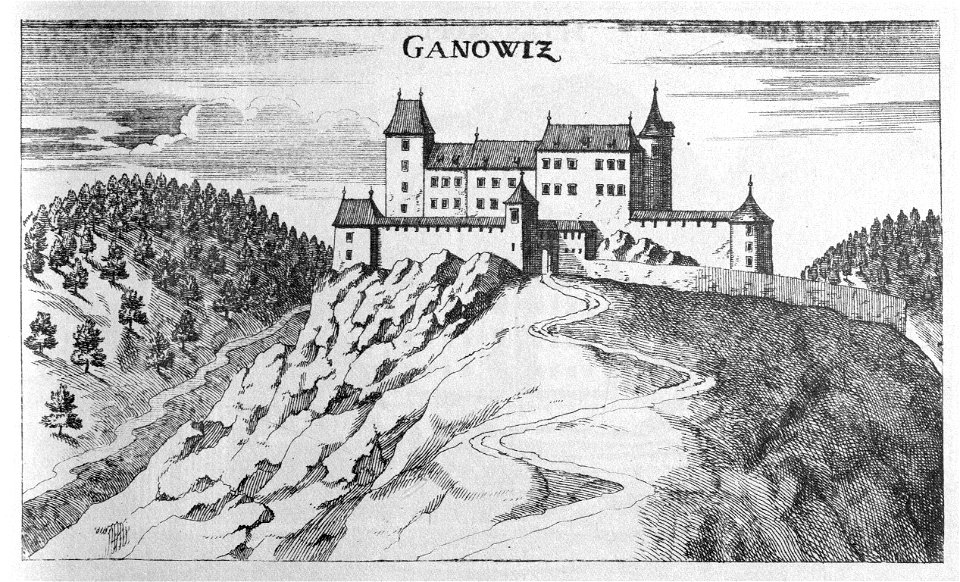 Vischer - Topographia Ducatus Stiria - 104 Gonobitz - Slovenske Konjice