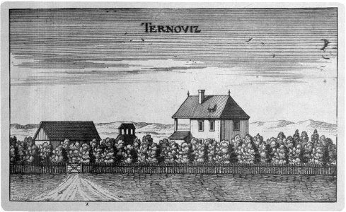 Vischer - Topographia Ducatus Stiriae - 425 Ternowetz bei Pettau - Trnovec