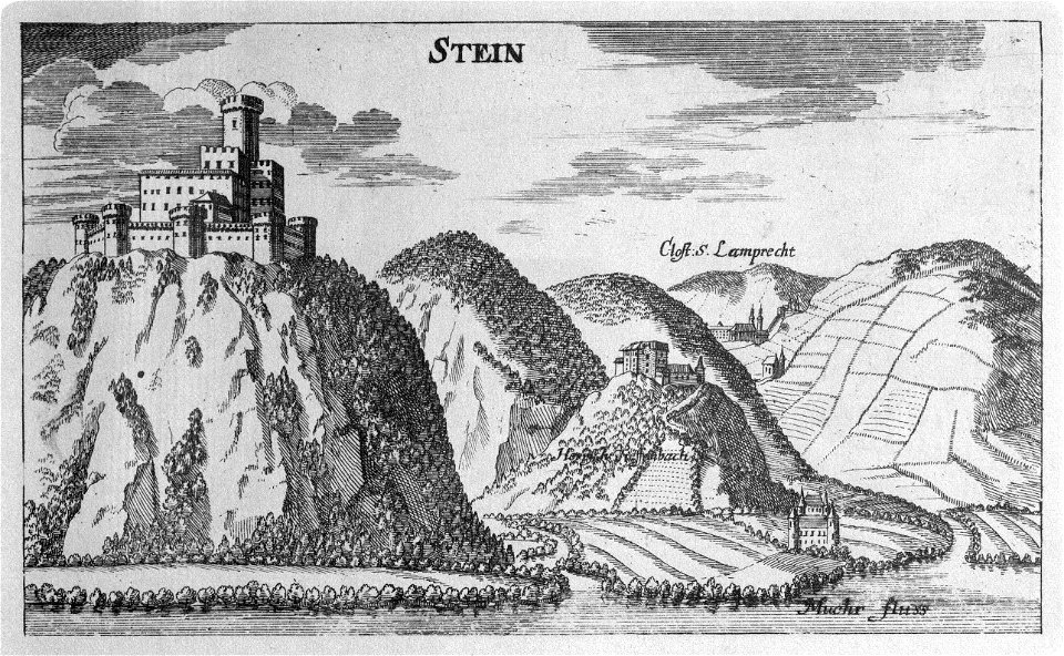 Vischer - Topographia Ducatus Stiriae - 410 Steinschloß bei Neumarkt