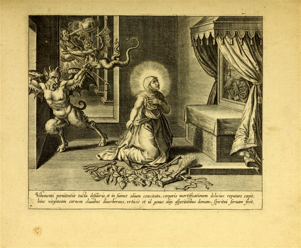 Vita S Virginis Teresiae a Iesu 06