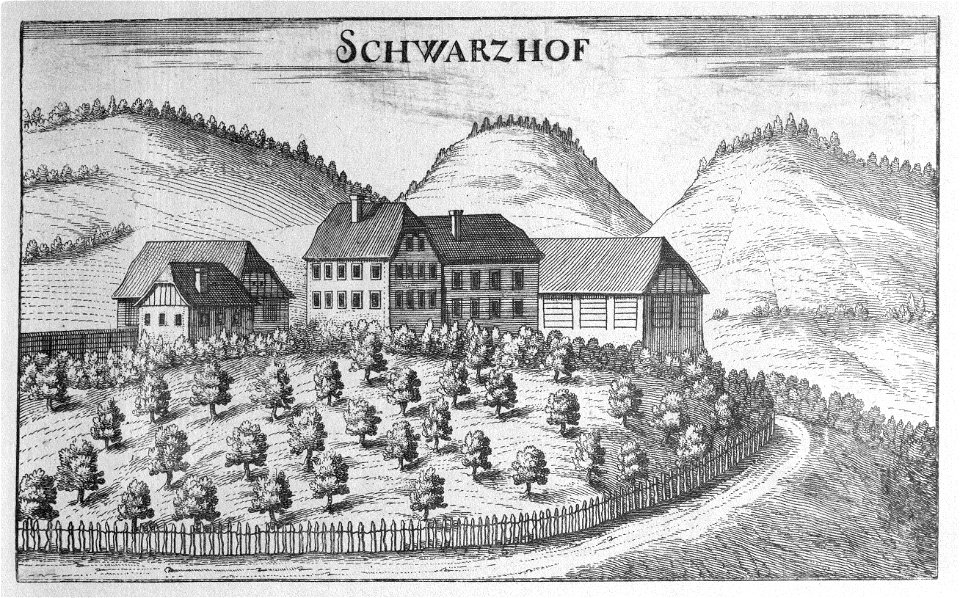 Vischer - Topographia Ducatus Stiriae - 385 Schwarzhof - Schwarzenegg bei Wildon
