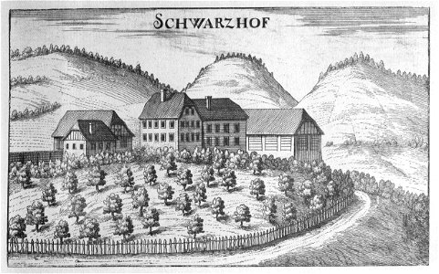 Vischer - Topographia Ducatus Stiriae - 385 Schwarzhof - Schwarzenegg bei Wildon