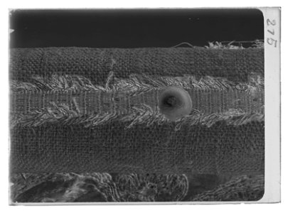 Vit dragonfana - Livrustkammaren - 54122-negative