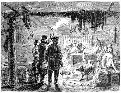 VISITING A GOLDEE HOUSE AT NIGHT