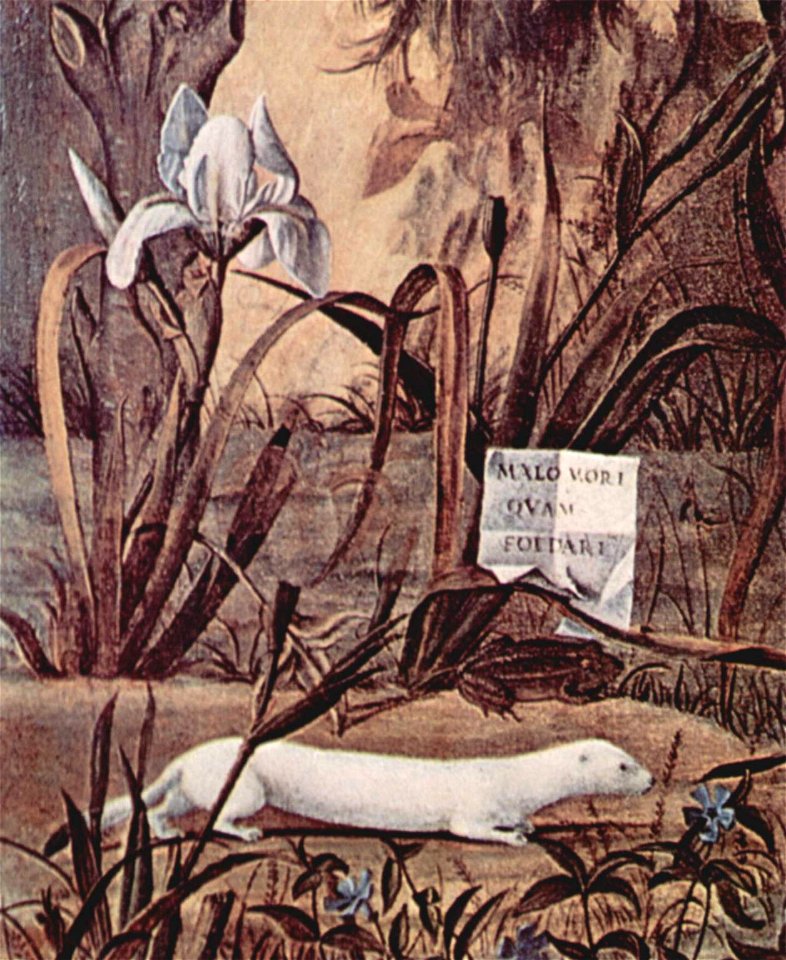 Vittore Carpaccio 070