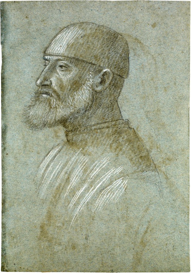Vittore Carpaccio - Head of Bearded Man Wearing a Cap, in Profile to the Left - Google Art Project
