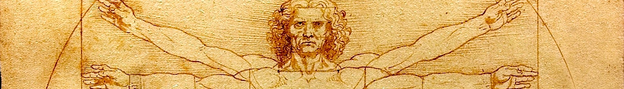 Vitruvian Man banner