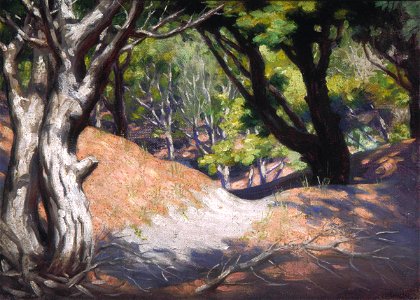 Vivian Smith - Pine Glade on Sand Dune at Otaki - Sarjeant Gallery