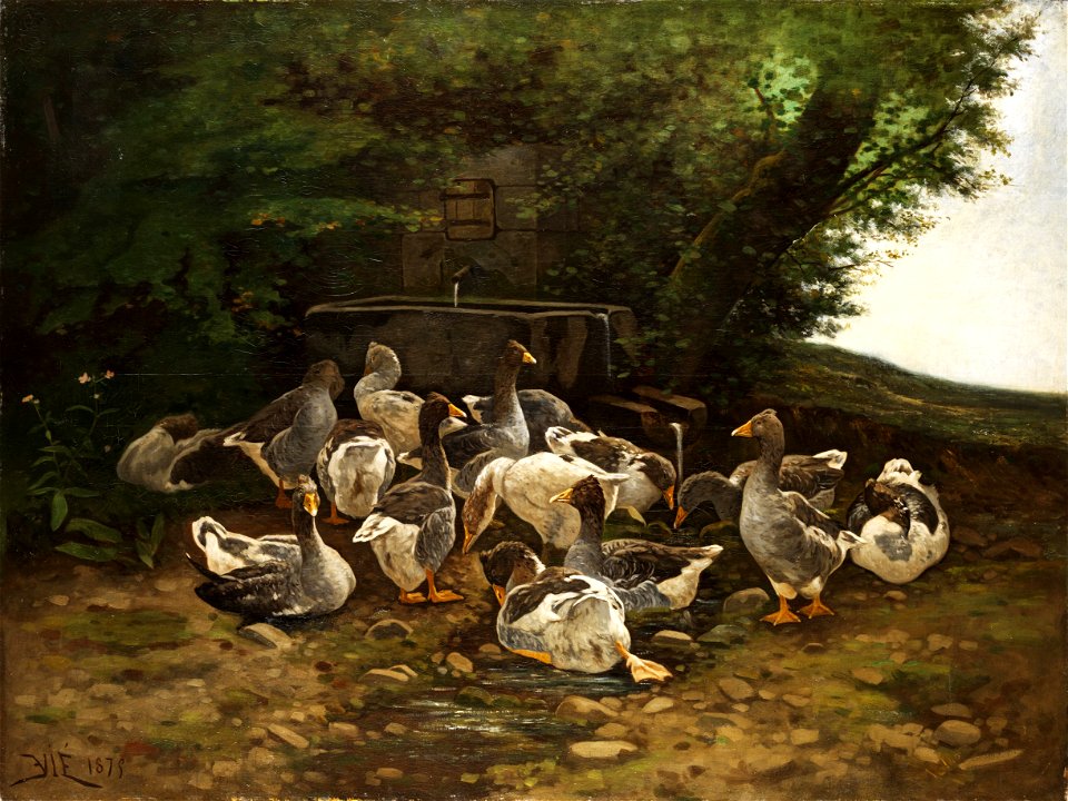 Vié Graugänse am Steinbrunnen 1879