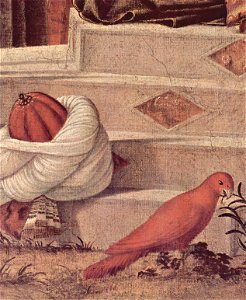 Vittore Carpaccio 020