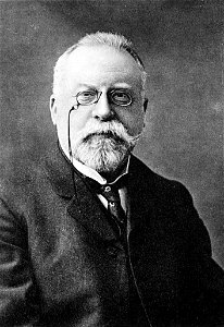 Voit 171 Viktor Ehrenberg