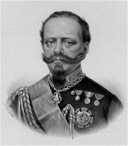 Vittorio Emanuele II litografia