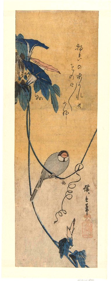 Vogel en blauwe winde