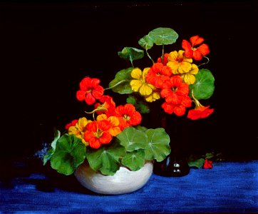 Vivian Smith - Nasturtiums - Sarjeant Gallery
