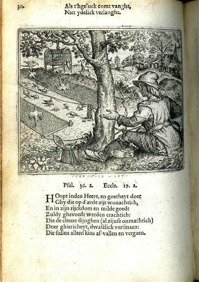 Voghelaer ende distelvijncke (BM 1868,0612.127)