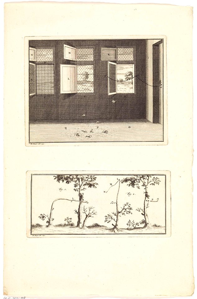 Vogelval in huis en vogelval in de struiken