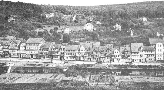 Vorstadt Blume 1900 vom Schloss
