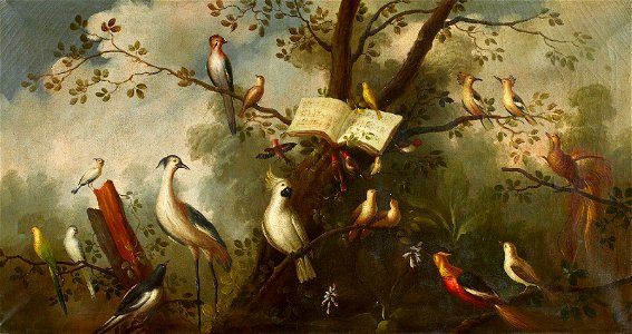 Vogelstudien