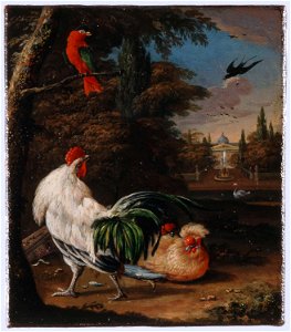 Vogels in een park