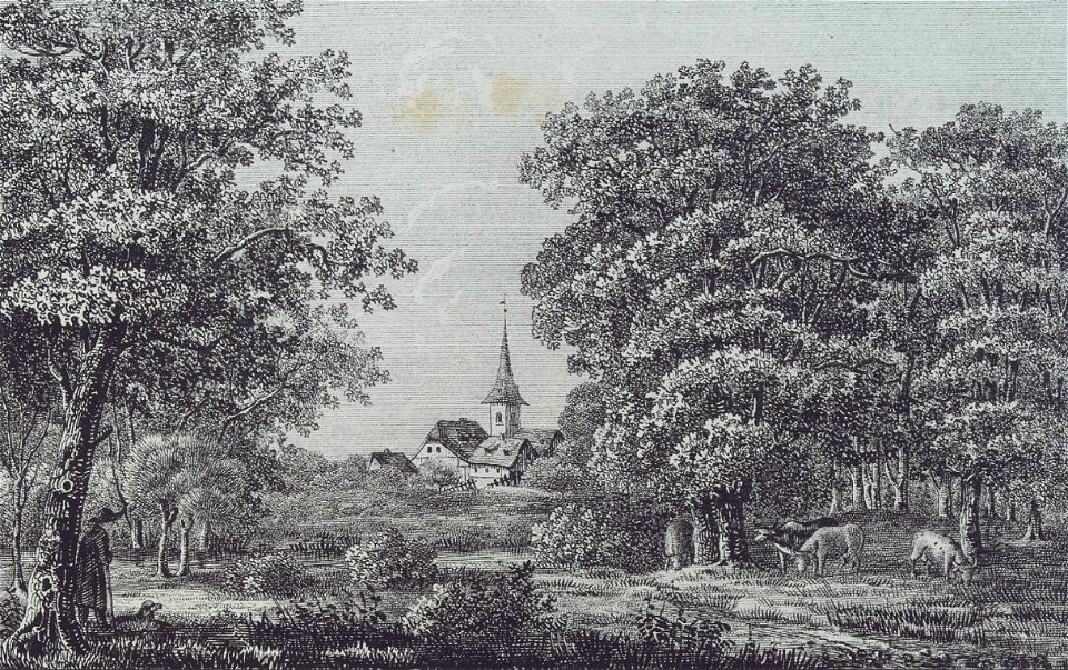 Volkmarode Pätz