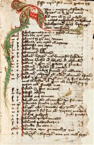 Vocabularius Ex quo