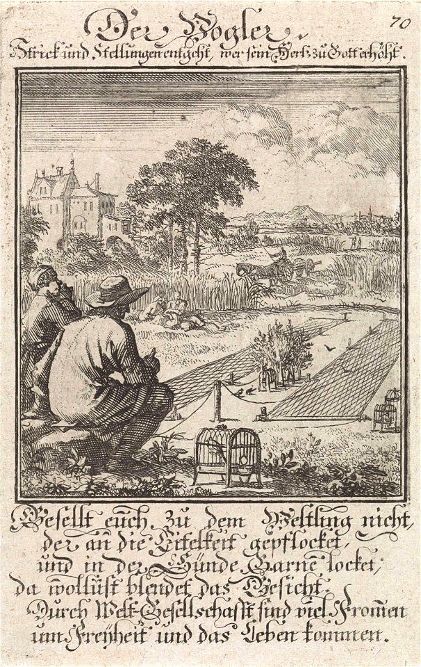 Vogelaar