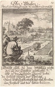 Vogelaar