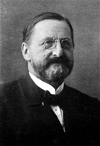 Voit 181 Friedrich Merkel