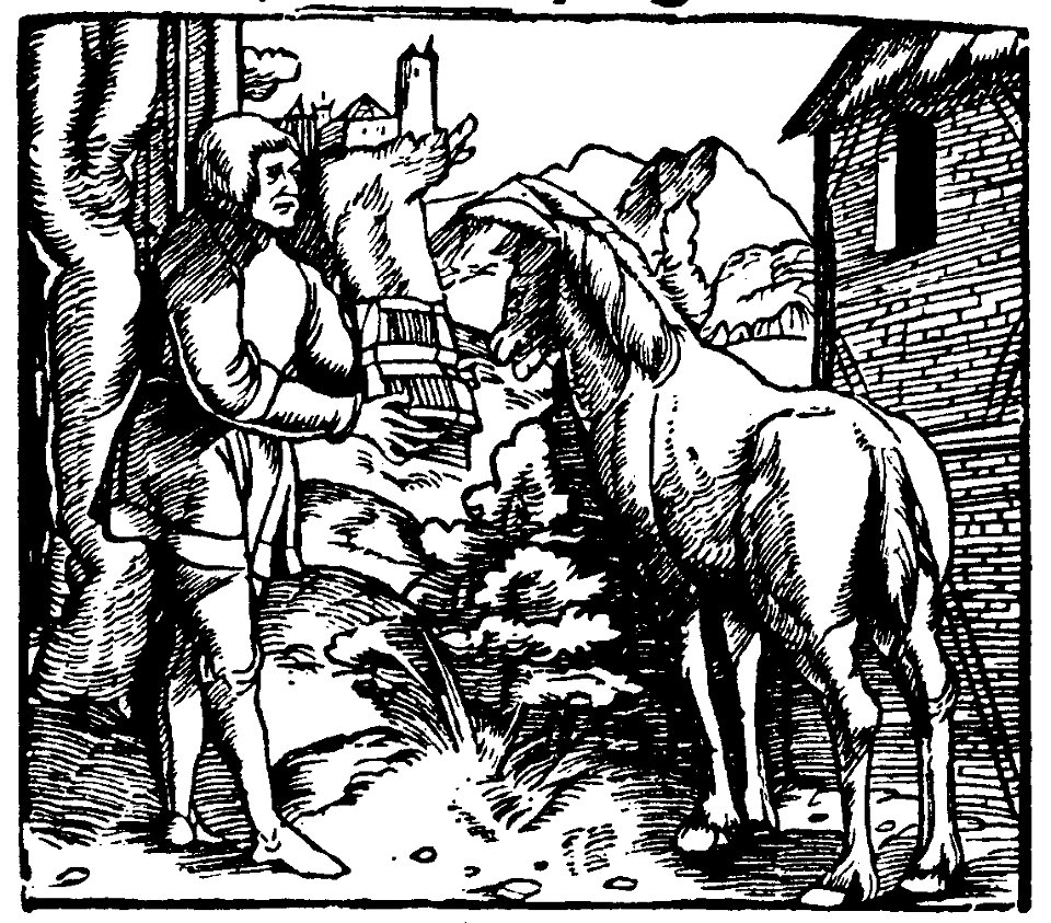 Vlenspiegel 1515 078