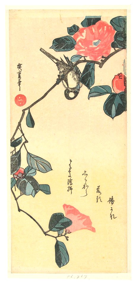 Vogel en camelia
