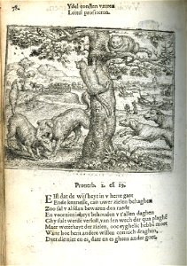 Vos ende catten (BM 1868,0612.151)
