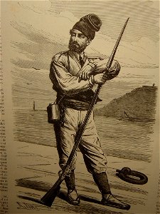 Volontaire
