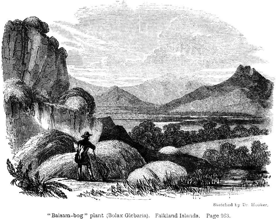 Voyage Southern and Antarctic Regions-2-1847-0339