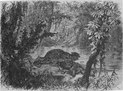 Voyage d'exploration en Indo-Chine - effectue pendant les annees 1866 1867 et 1868 - v 1 375