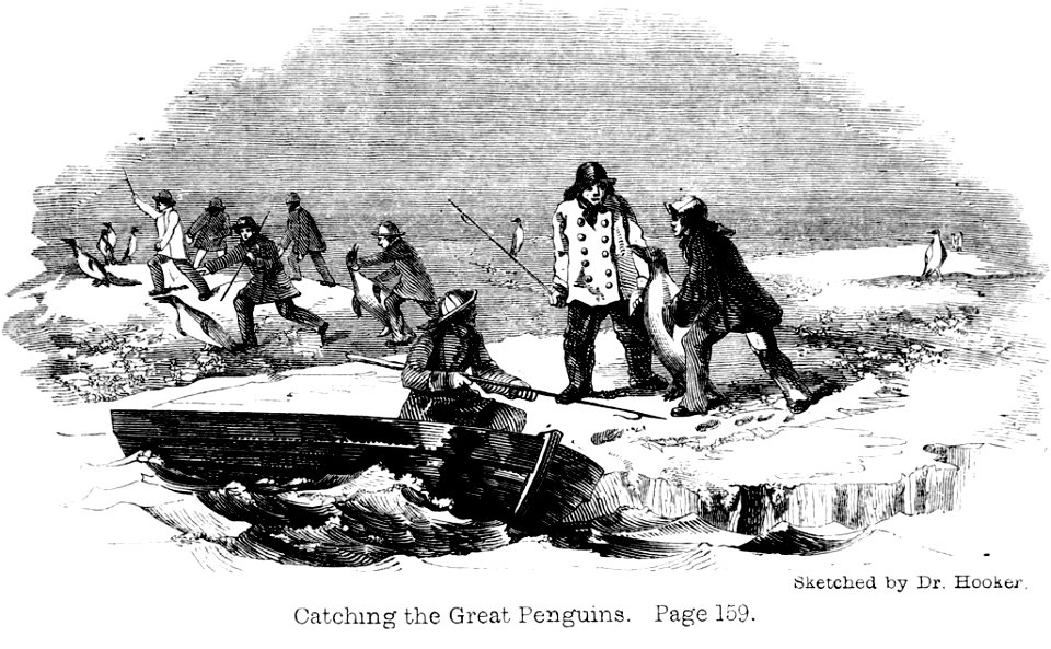 Voyage Southern and Antarctic Regions-2-1847-0109