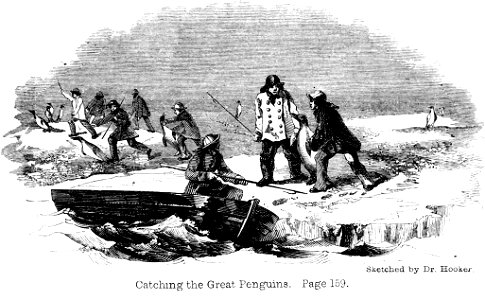 Voyage Southern and Antarctic Regions-2-1847-0109