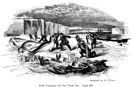Voyage Southern and Antarctic Regions-2-1847-0047
