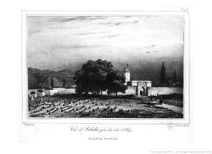 Vue de Blida