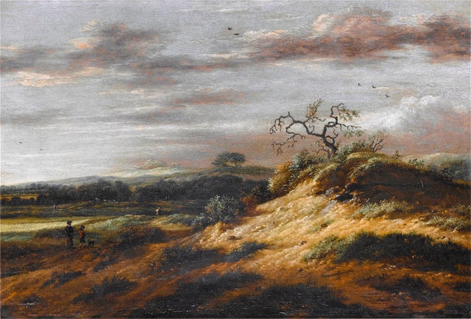 Roelof Jansz. van Vries - Duinlandschap