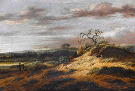Roelof Jansz. van Vries - Duinlandschap