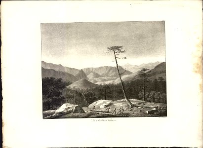 Vue de la Forêt de Vizzavona, objectnr A 59333