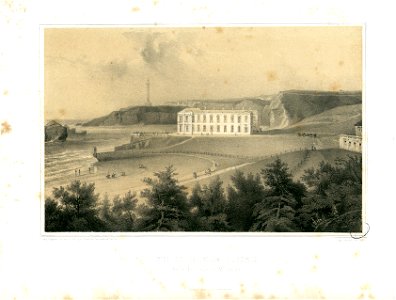 Vue de la Villa Eugénie prise du Jardin de Mr Feillet - Fonds Ancely - B315556101 A HENNEBUTTE 1 1 064