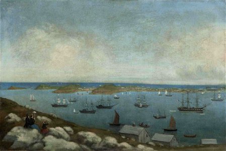 Vue de la rade de Saint-Pierre