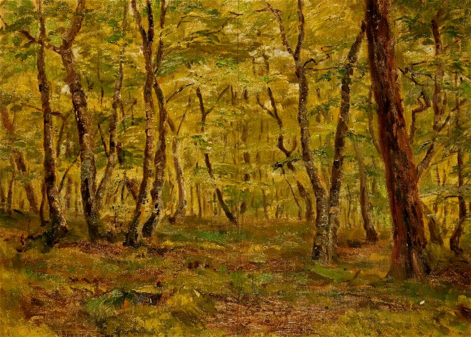 Václav Brezina Im Waldesinnern